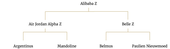Alibaba Z – Wallach – 2014