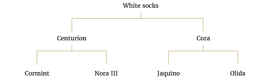 White socks – Wallach – 2014 (sold)
