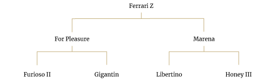 Ferrari Z – ruin – 2010