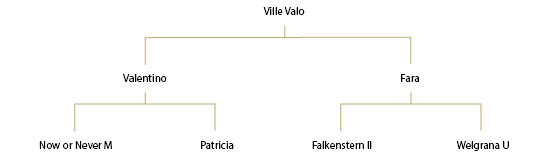 Ville Valo – Wallach – 2011