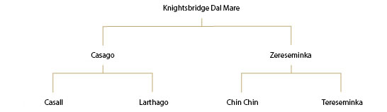 Knightsbridge Dal Mare – Wallach – 2015