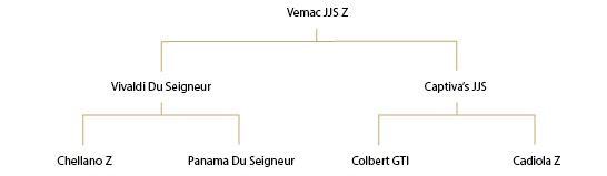 Vemac- Wallach – 2013
