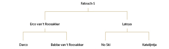 Fatouch-S – Wallach – 2010